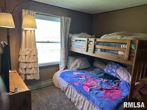 196 1425 E St, Versailles, IL 62378 photo 14