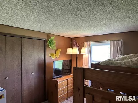 196 1425 E St, Versailles, IL 62378 photo 10