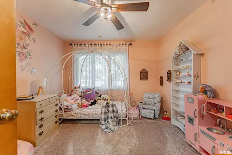 449 Minder Dr, Lincoln, IL 62656 photo 13