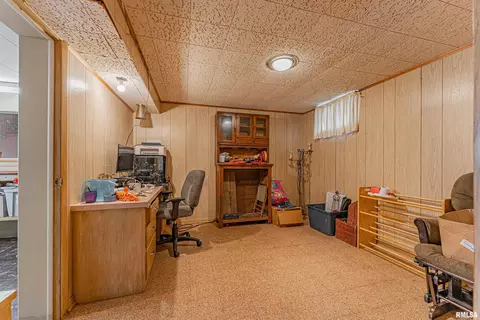449 Minder Dr, Lincoln, IL 62656 photo 27