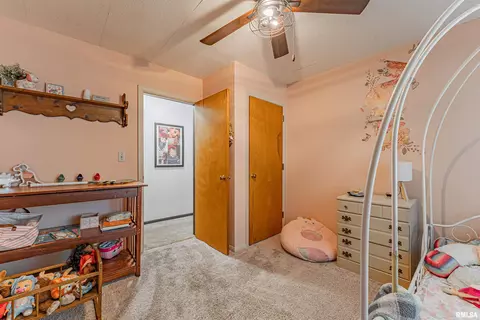449 Minder Dr, Lincoln, IL 62656 photo 14