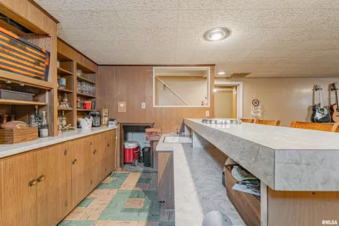 449 Minder Dr, Lincoln, IL 62656 photo 22