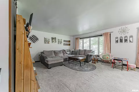 449 Minder Dr, Lincoln, IL 62656 photo 5