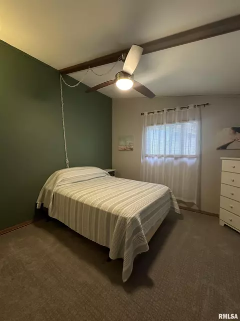 308 N Cedar St, Abingdon, IL 61410 photo 29