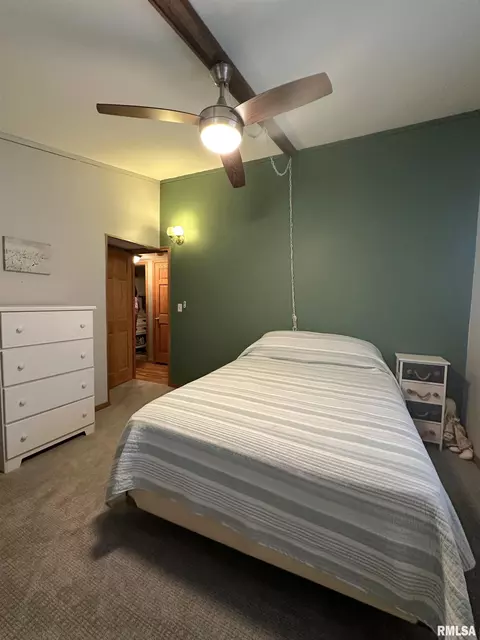 308 N Cedar St, Abingdon, IL 61410 photo 30