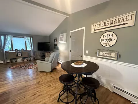 308 N Cedar St, Abingdon, IL 61410 photo 19