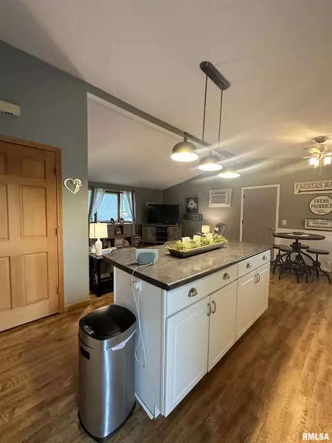 308 N Cedar St, Abingdon, IL 61410 photo 20