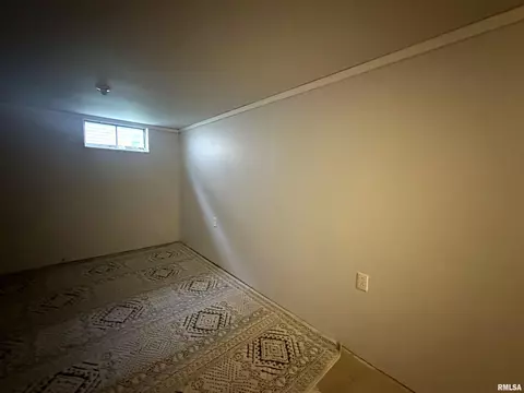 308 N Cedar St, Abingdon, IL 61410 photo 38