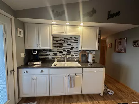 308 N Cedar St, Abingdon, IL 61410 photo 23