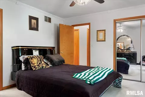 3805 Grouse Rd, Springfield, IL 62707 photo 20