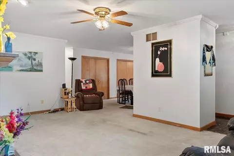 3805 Grouse Rd, Springfield, IL 62707 photo 4