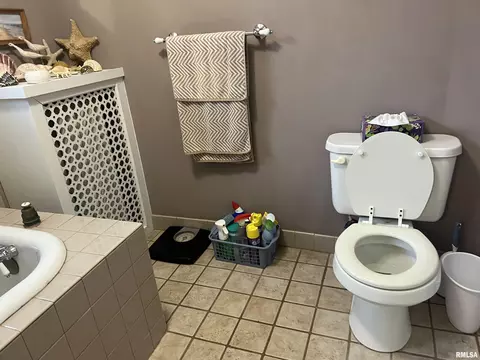 137 W Webster St, Benton, IL 62812 photo 18
