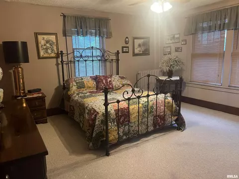 137 W Webster St, Benton, IL 62812 photo 28