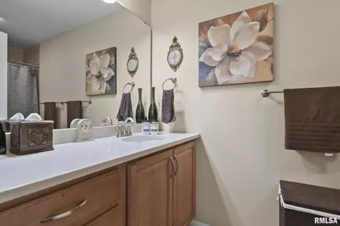 1301 Pine Valley Ct, Springfield, IL 62704 photo 21