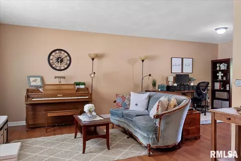 Living - 11 Archer Ave, Springfield, IL 62704 photo 2 of 5
