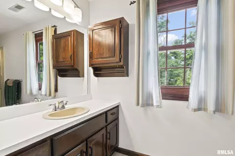 409 Natchez Trce, Springfield, IL 62711 photo 29