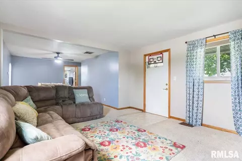 219 Mill St, Loami, IL 62661 photo 7
