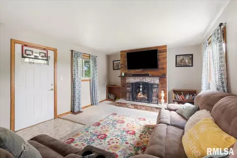 219 Mill St, Loami, IL 62661 photo 9