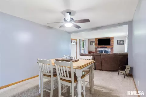 219 Mill St, Loami, IL 62661 photo 11