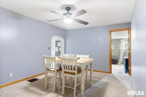 219 Mill St, Loami, IL 62661 photo 10