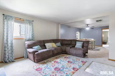 219 Mill St, Loami, IL 62661 photo 6