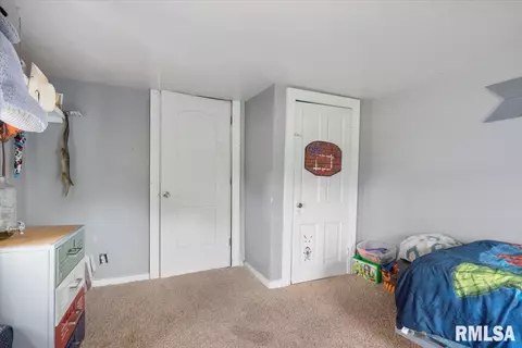 219 Mill St, Loami, IL 62661 photo 28