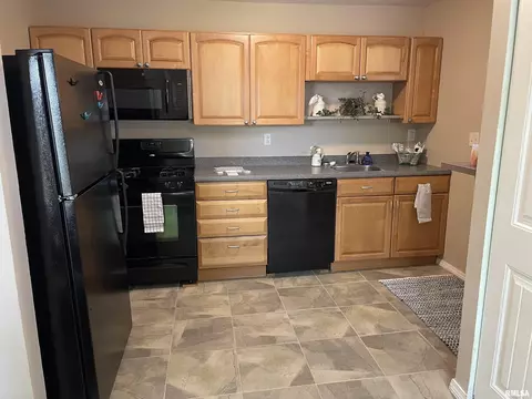 103 Aarup St, Springfield, IL 62703 photo 26