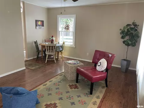 103 Aarup St, Springfield, IL 62703 photo 19