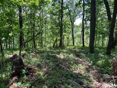 00 Smith Rd, Table Grove, IL 61482 photo 6