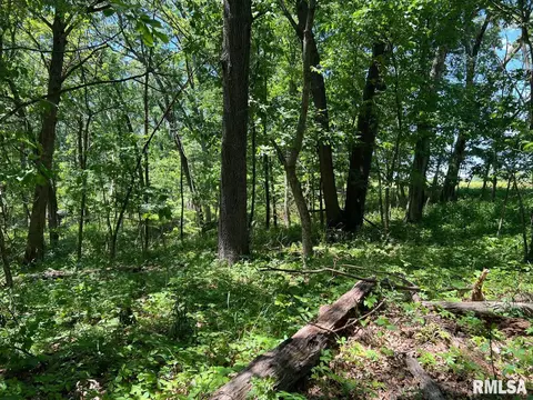 00 Smith Rd, Table Grove, IL 61482 photo 8