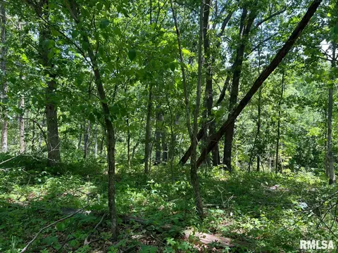 00 Smith Rd, Table Grove, IL 61482 photo 7