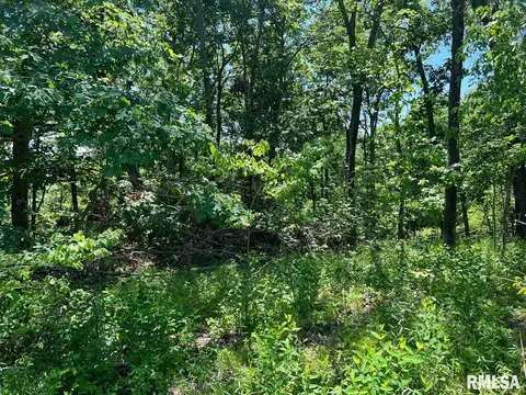 00 Smith Rd, Table Grove, IL 61482 photo 13