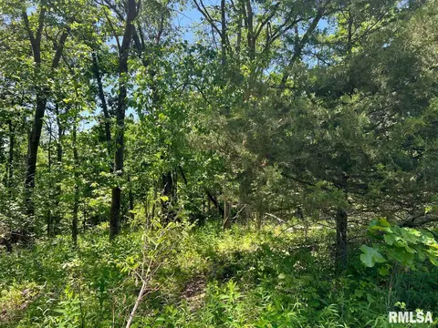 00 Smith Rd, Table Grove, IL 61482 photo 11