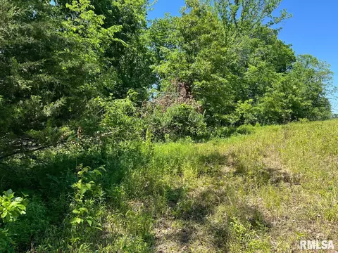00 Smith Rd, Table Grove, IL 61482 photo 12