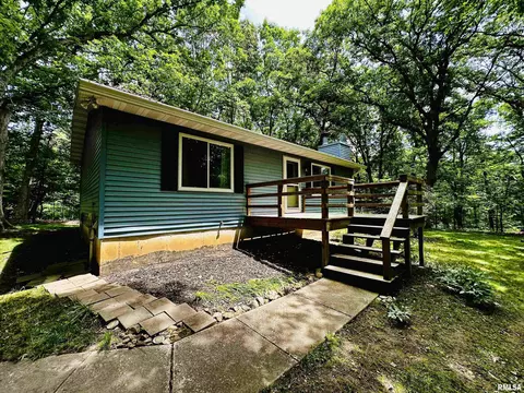 249 Greenleaf Ct, Dahinda, IL 61428