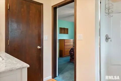 4841 Cockrell Ln, Springfield, IL 62711 photo 28
