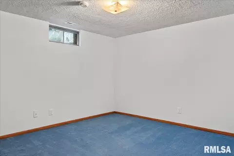 4841 Cockrell Ln, Springfield, IL 62711 photo 48