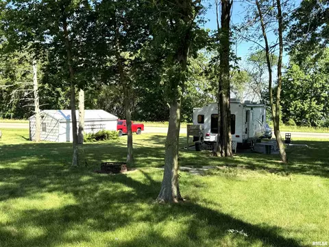 21561 N Buzzville Rd, Havana, IL 62644