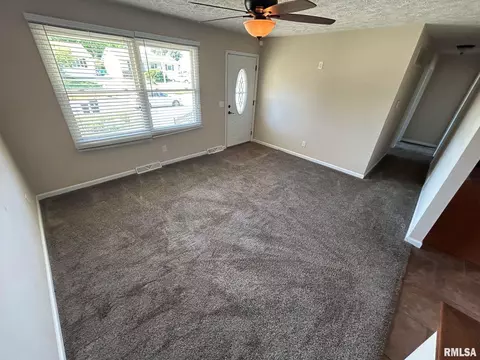 3029 E Griffiths Ave, Springfield, IL 62702 photo 4