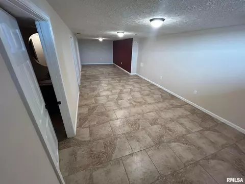 3029 E Griffiths Ave, Springfield, IL 62702 photo 14