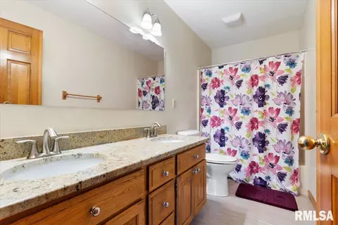 Bath - 520 Teal Dr, Chatham, IL 62629 photo 5 of 6