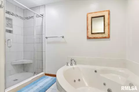 Bath - 520 Teal Dr, Chatham, IL 62629 photo 3 of 6