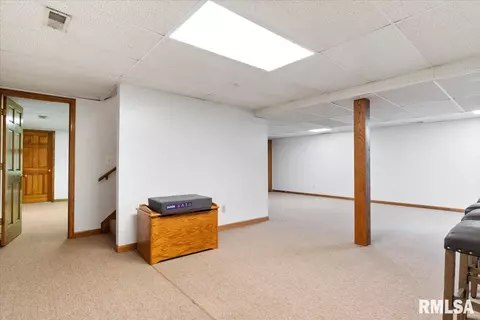 Other - 520 Teal Dr, Chatham, IL 62629 photo 13 of 17