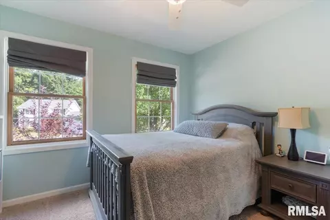 4459 Foxbury Ln, Springfield, IL 62711 photo 37