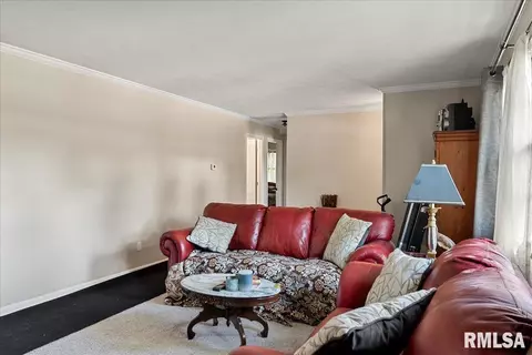 29 Royal Rd, Springfield, IL 62702 photo 4