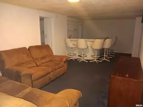 1301 W Edwards St, Springfield, IL 62704 photo 24