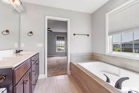 822 Kellan Dr, Chatham, IL 62629 photo 24