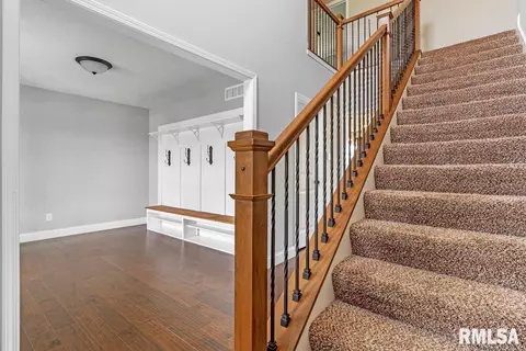 822 Kellan Dr, Chatham, IL 62629 photo 19