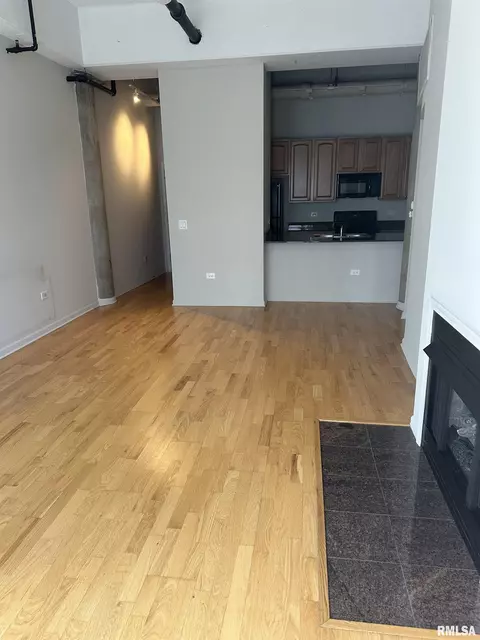 Living - 125 E 13th St, Chicago, IL 60605 photo 3 of 3