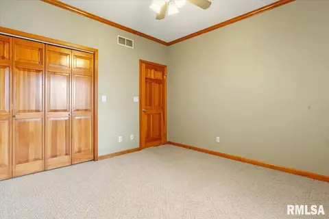 519 Eagle Ridge Dr, Chatham, IL 62629 photo 21